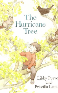The Hurricane Tree