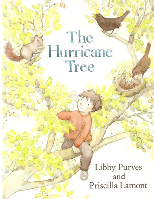 The Hurricane Tree