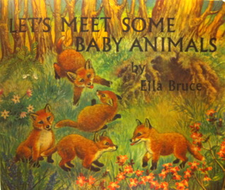 Let’s Meet Some Baby Animals
